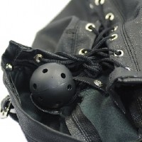 Luxury Mask Hood with Mask and Ball Gag